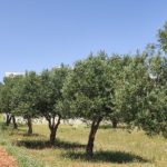 كيف تشتري قطعة الأرض المناسبة في الاردن